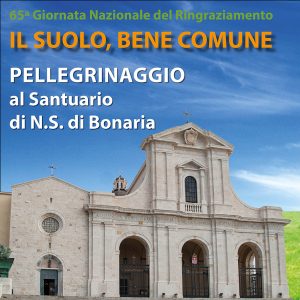 Pellegrinaggio sito diocesi